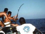 Big game fishing Croazia